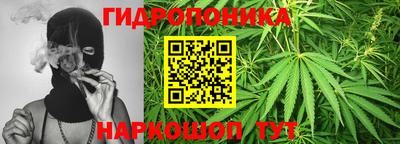 крисы Уссурийск
