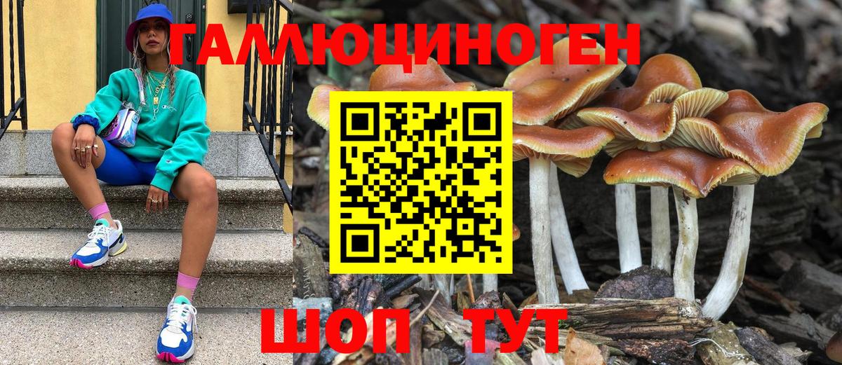 купить  сайты  Вход с VPN  Нефтекамск  Галлюциногенные грибы Magic Shrooms  Галлюциногенные грибы мухоморы 