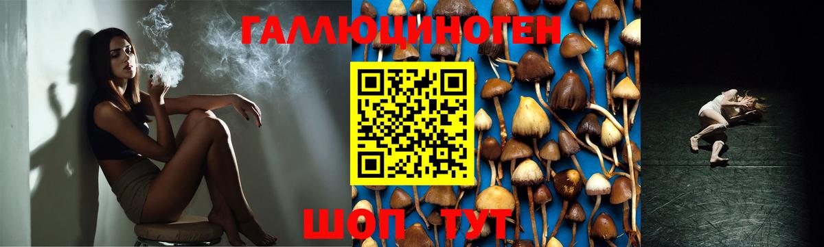 Галлюциногенные грибы мицелий Нефтекамск